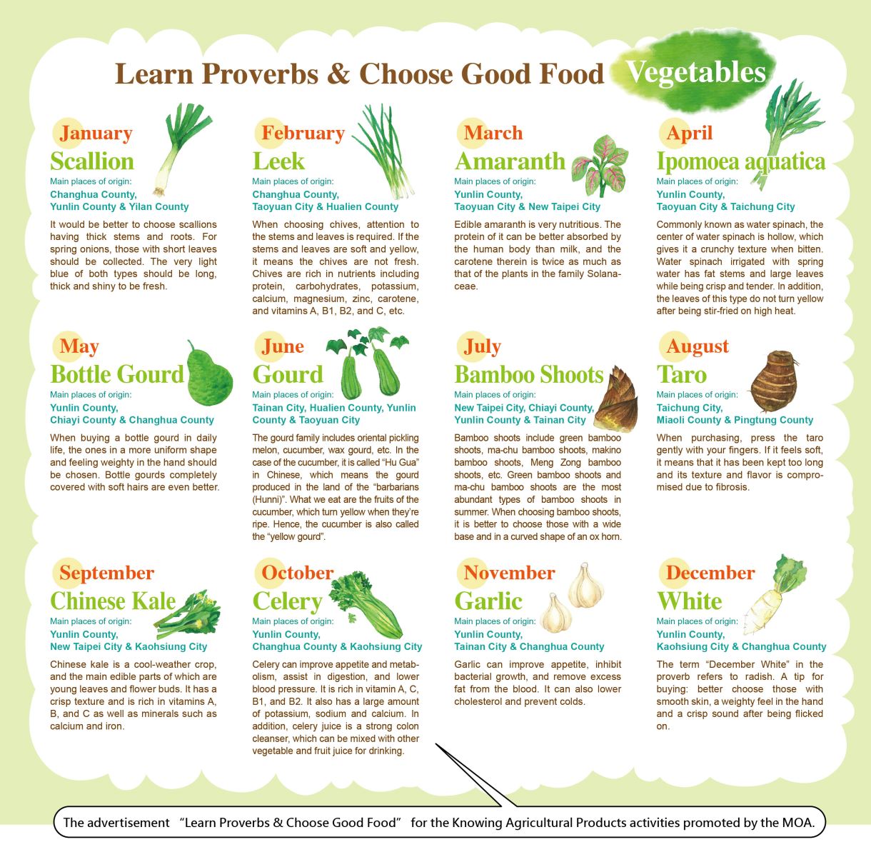 Learn Proverbs & Choose Good Food - Vegetables