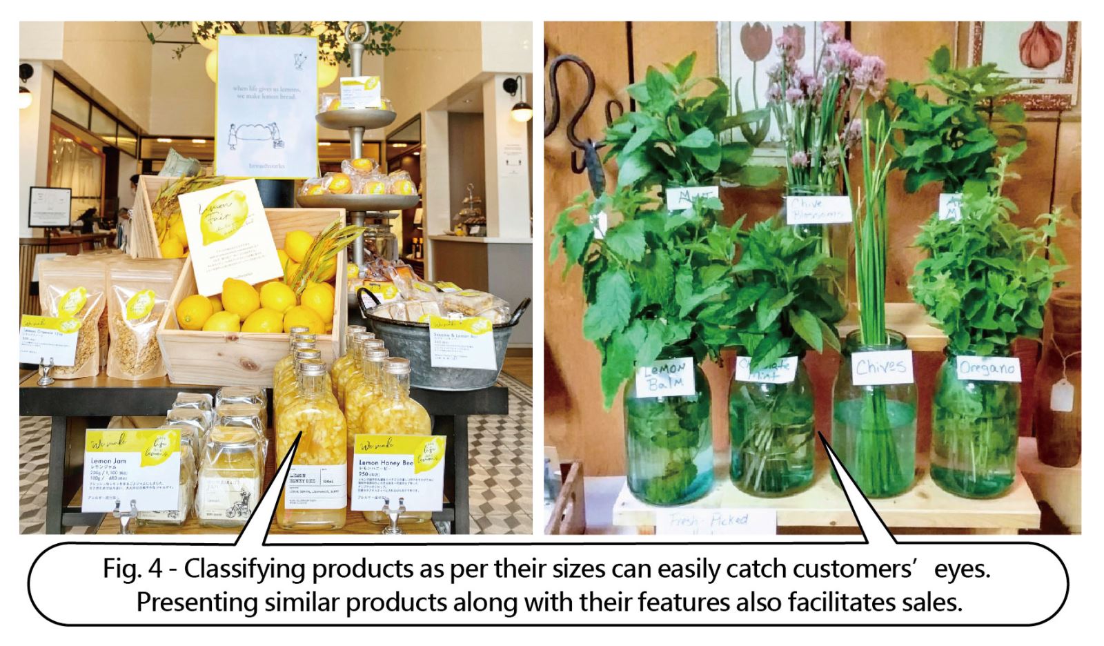 Fig. 4 - Classifying products as per their sizes can easily catch customers’ eyes. Presenting similar products along with their features also facilitates sales.